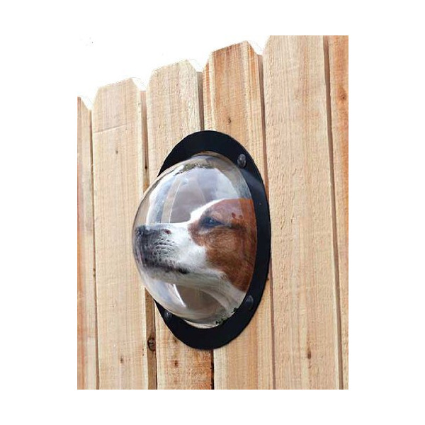 PetPeek fence window for pets